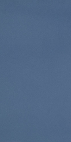 11721132 На пол R-Evolution Blue R10 9mm 60x120