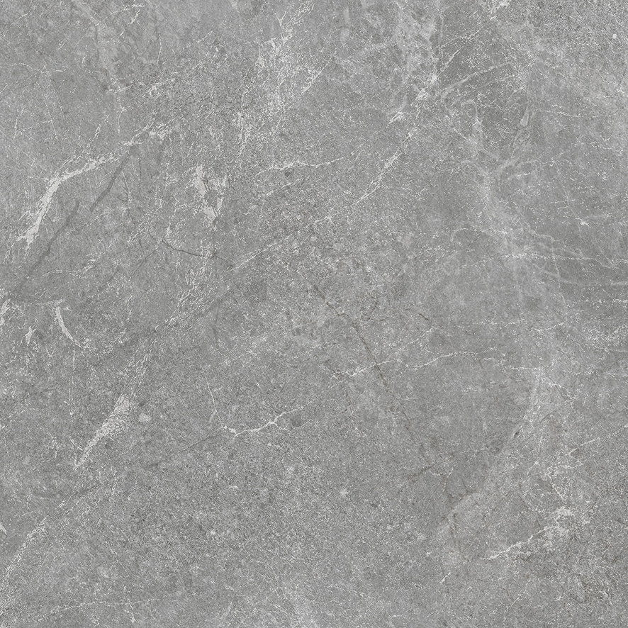 На пол Rocky Grey PRO Серый матовый R10GR 60х60 - фото 20