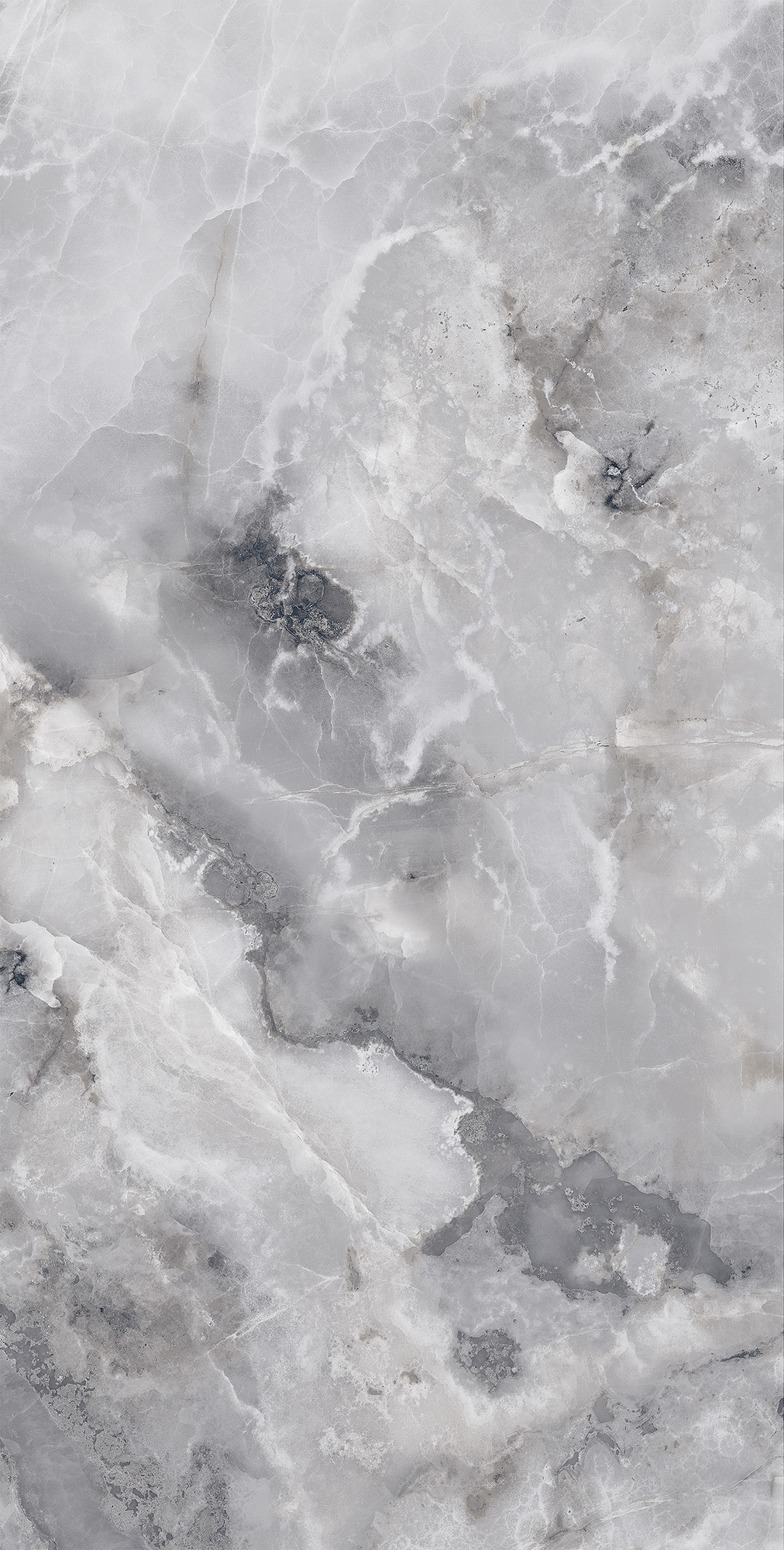 FP1026-A На пол Invisible Onyx Grey Full Polished 60x120 - фото 2