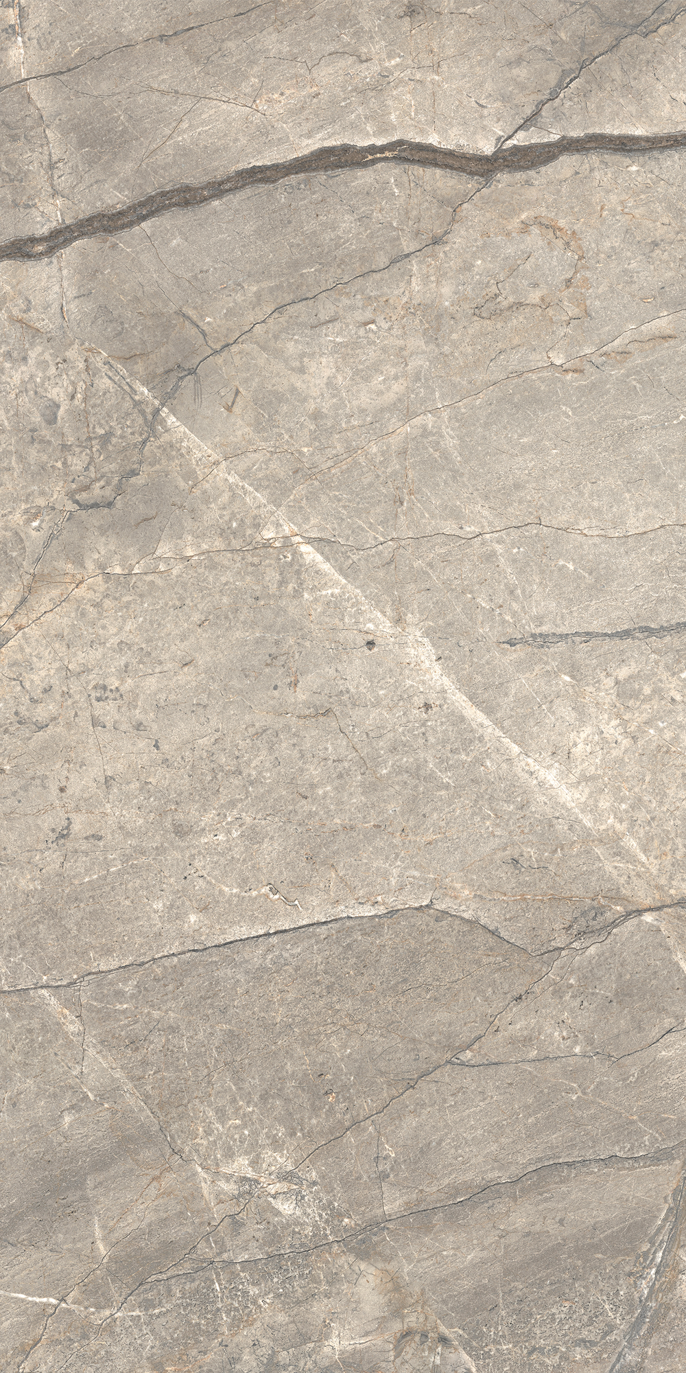 AGB6 На пол Anima Futura Silver Luc 60x120 - фото 3