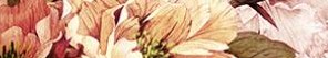 Бордюр Galatia peony Цветы - фото 3