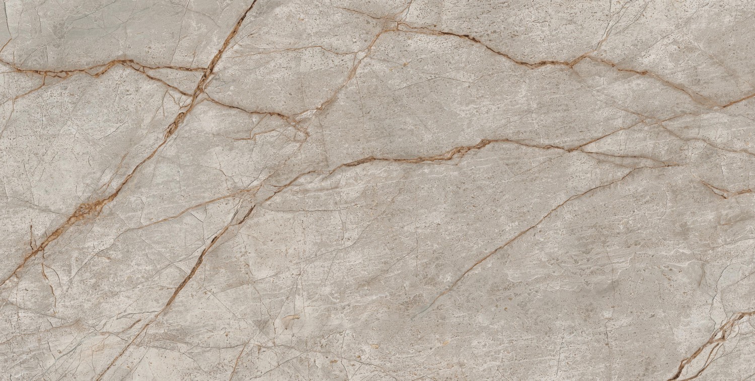 610015000603 На пол Empire Silver Root 80x160 Lapp - фото 3