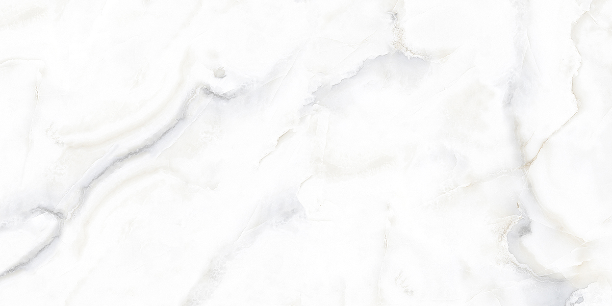 PRO 1149G На пол Dove Onix Gloss 1200x600 - фото 2