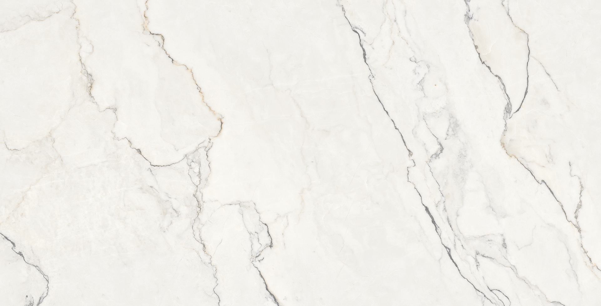 NTTHS99804D На пол Infinity Wisdom Stone 4D 60x120 - фото 4