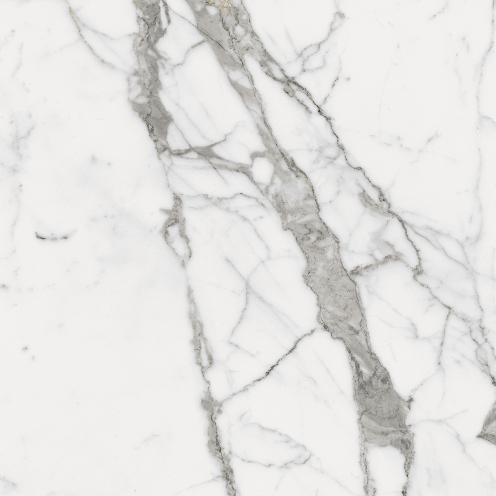 610010001678 На пол Charme Evo Floor Project Статуарио 80 Натуральный и Реттифицированный