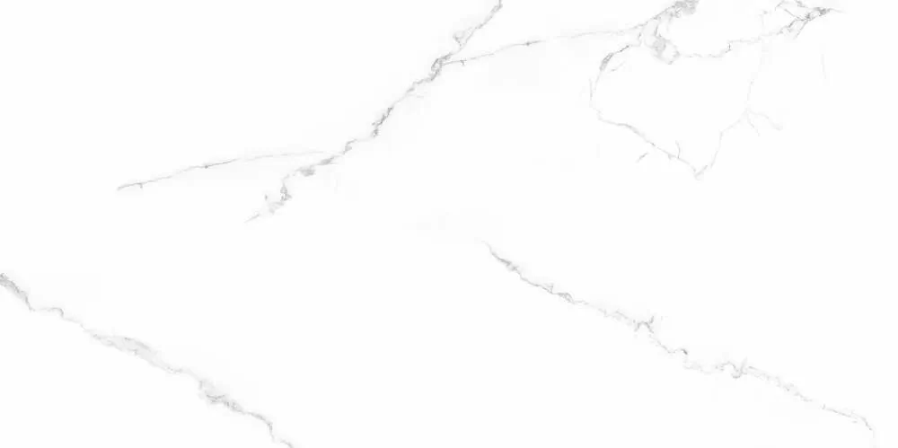 410203 На пол  Aria Glossy 60x120 - фото 4