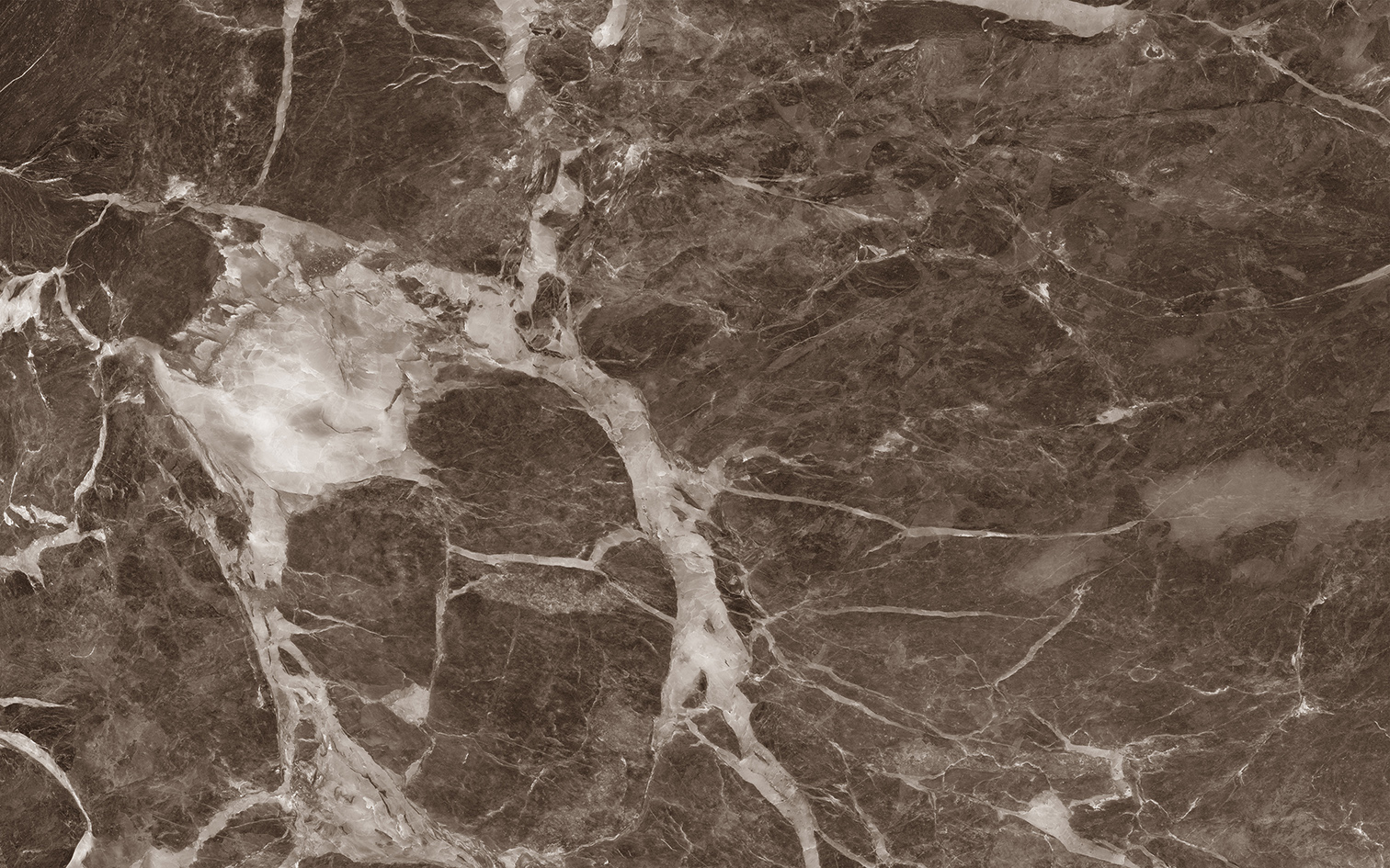 010100001557 На стену Капелла Коричневый низ 04 25x40