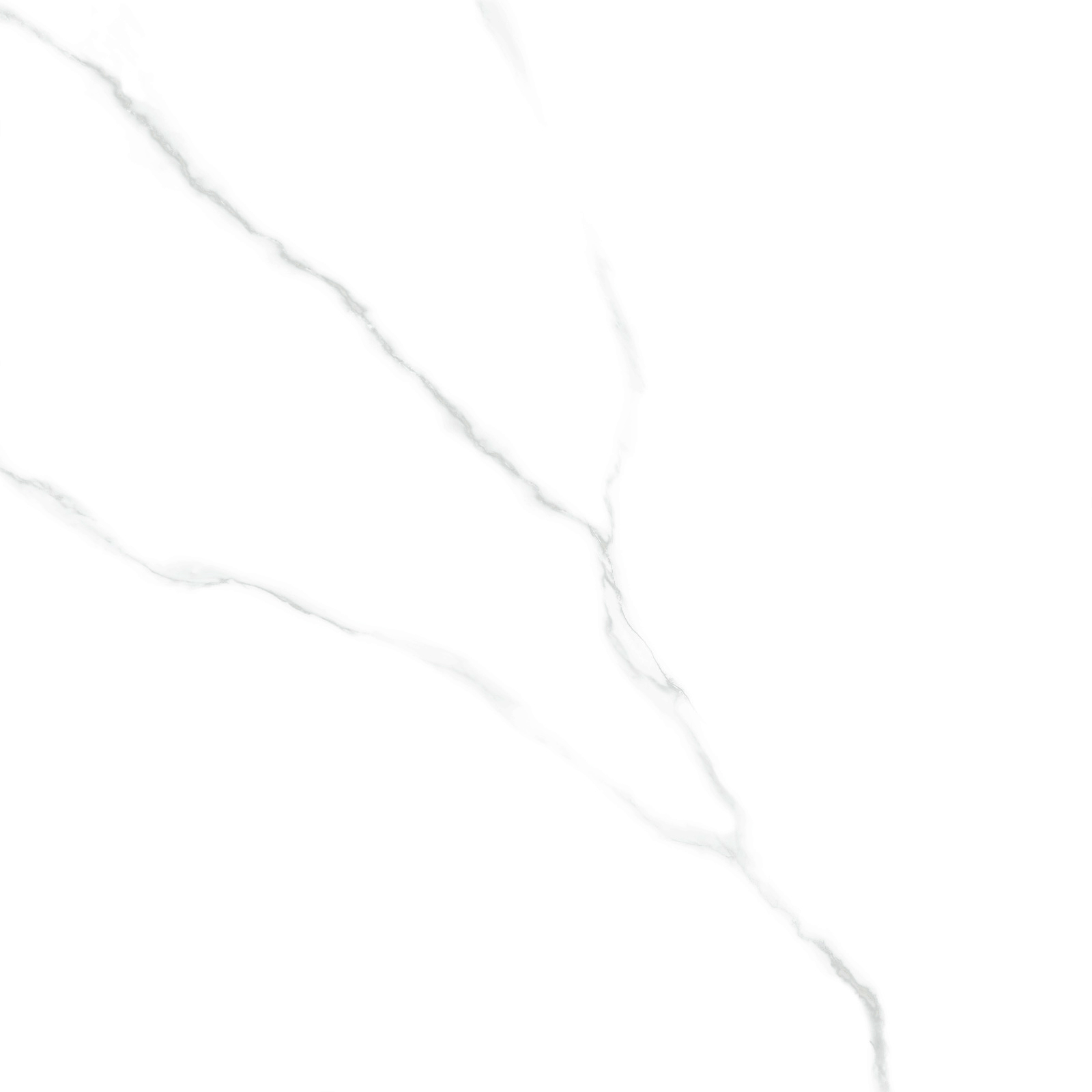 6060AMR00P На пол Atlantic Marble White 60 - фото 7