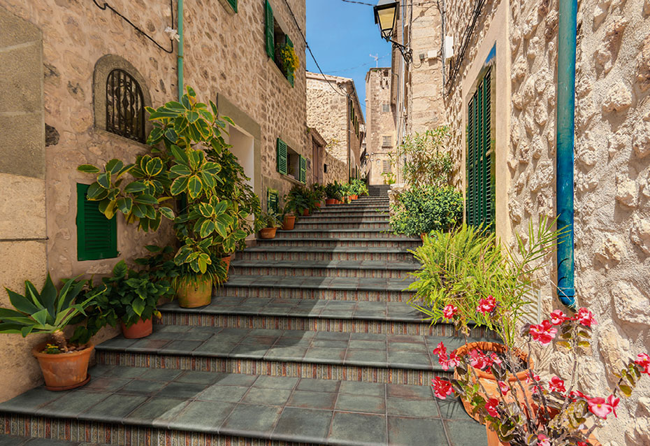 На пол Anticatto Muschio - фото 10