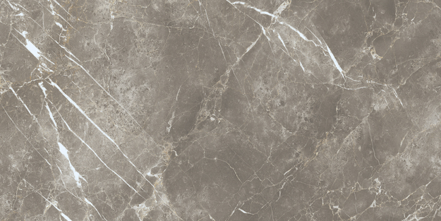 ECC2 На пол Elements Lux Persian Grey Silk RT 60x120 - фото 12