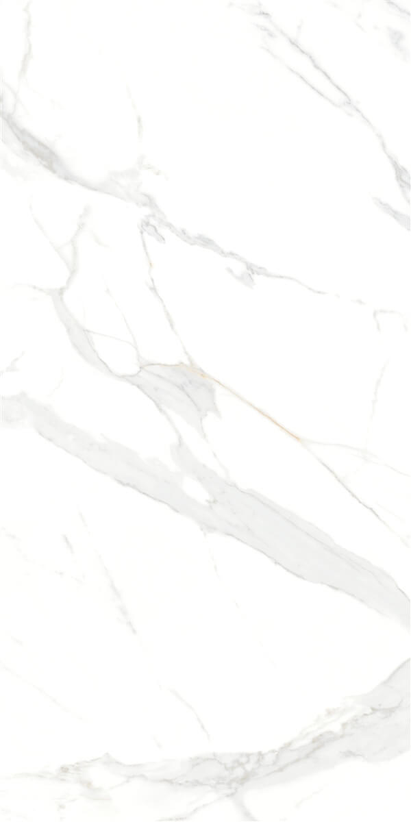 P15006.6 На пол Royal Marble White Polished Rect 60x120 - фото 7