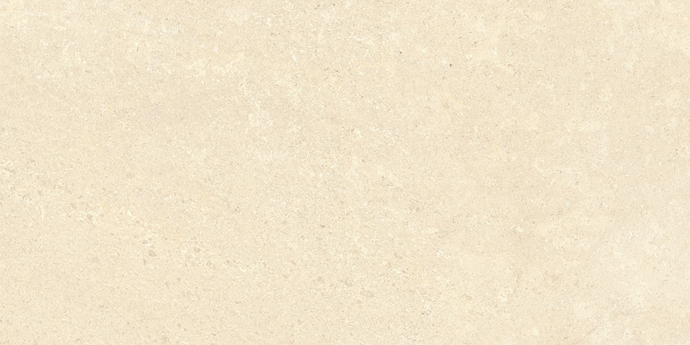 K948598R На пол SandStone Песочный Матовый R10A Ректификат 9мм 60х120 - фото 8