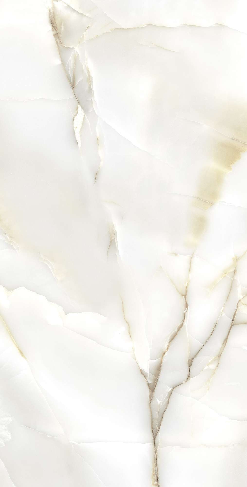 FP1003-A На пол Primo Onyx Full Polished 60x120