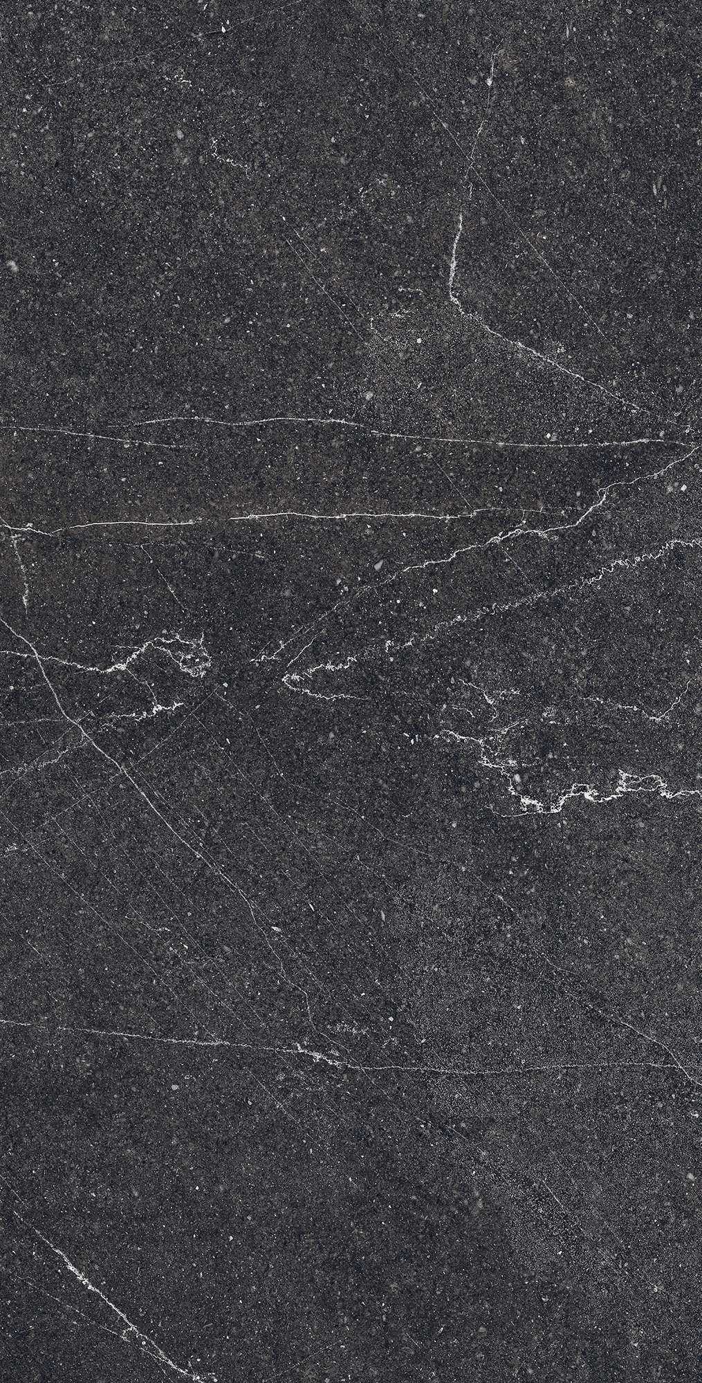 RG6003-A На пол Equistone Charcoal Rotto Glossy Ink 60x120 - фото 4