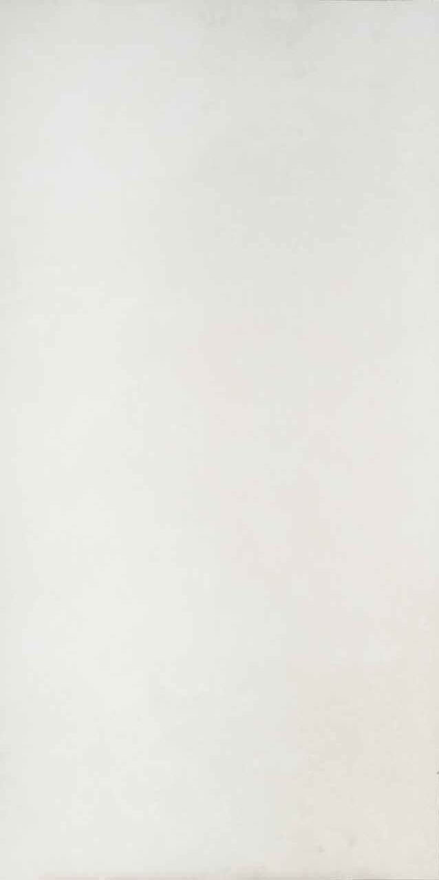 61w1251a На пол Sardeni Bone 59.8x119.8