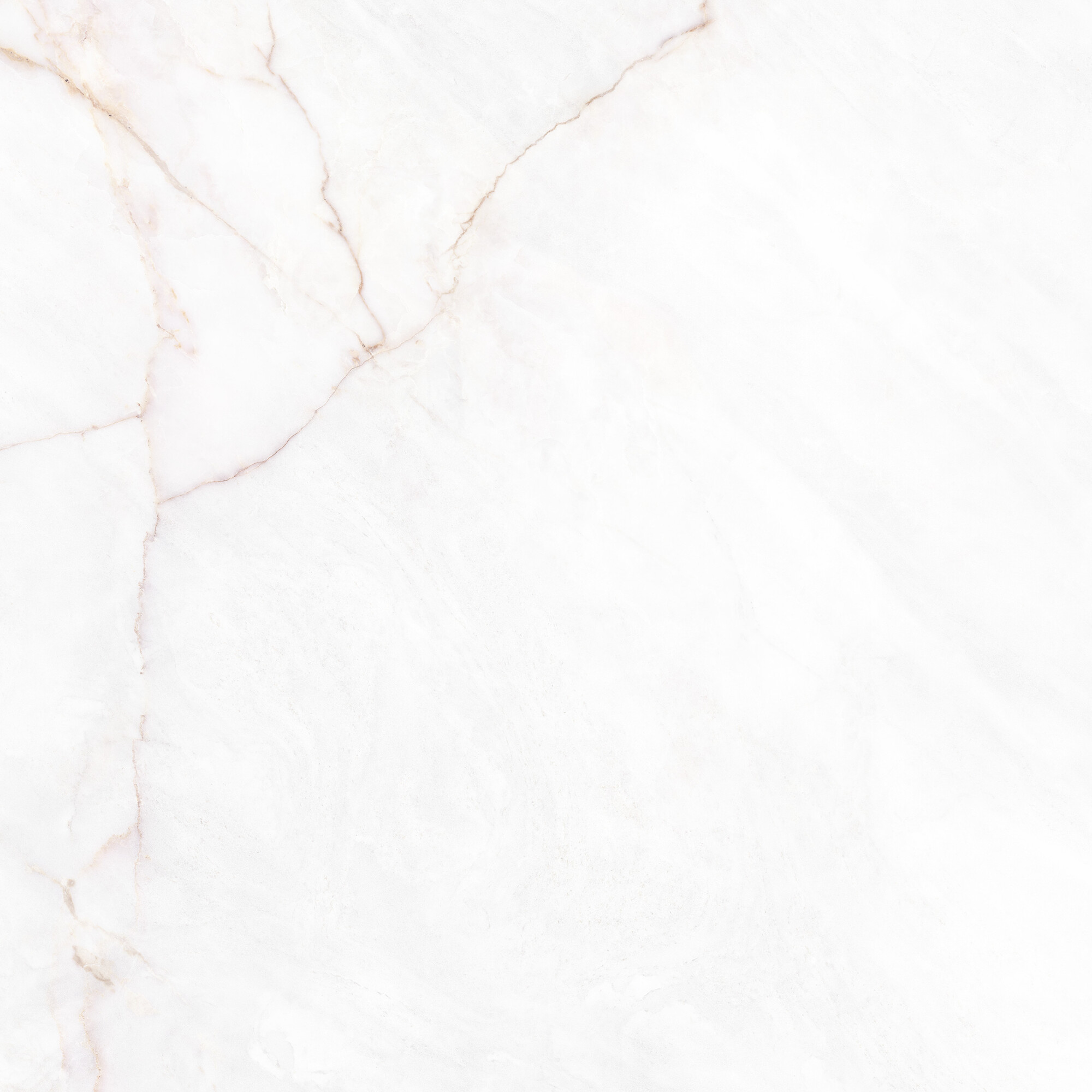 41431 На пол Museum Dahlia White SP/100X100X0.8/R 100x100 - фото 19