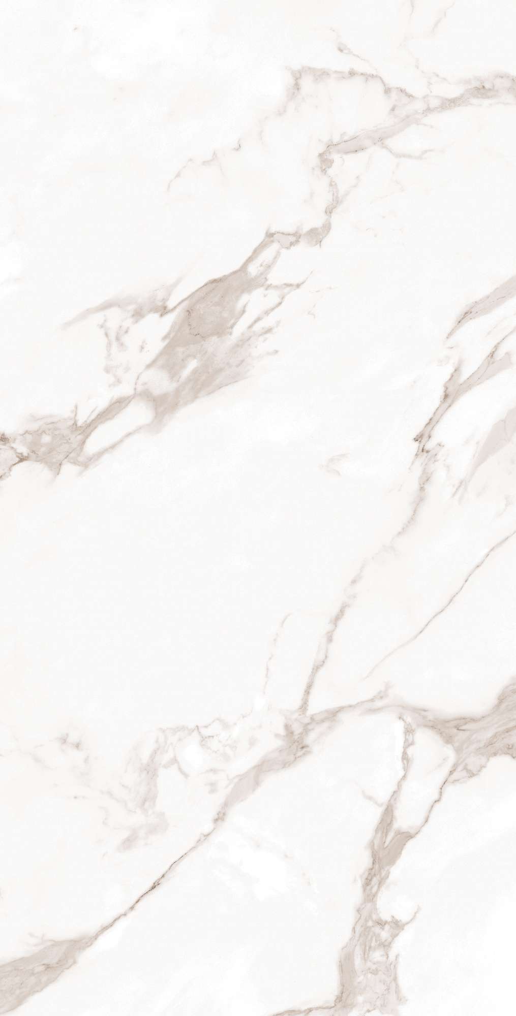 FP1019-A На пол Calacatta Bianco Full Polished 60x120 - фото 3