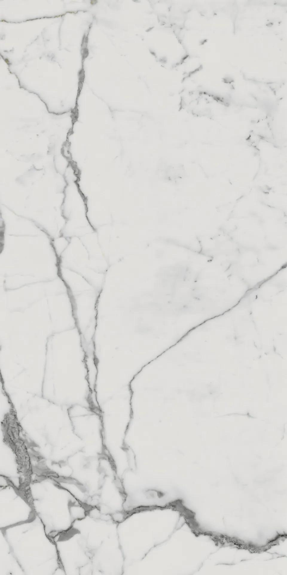 610010001682 На пол Charme Evo Floor Project Статуарио 80x160 Натуральный и Реттифицированный - фото 3