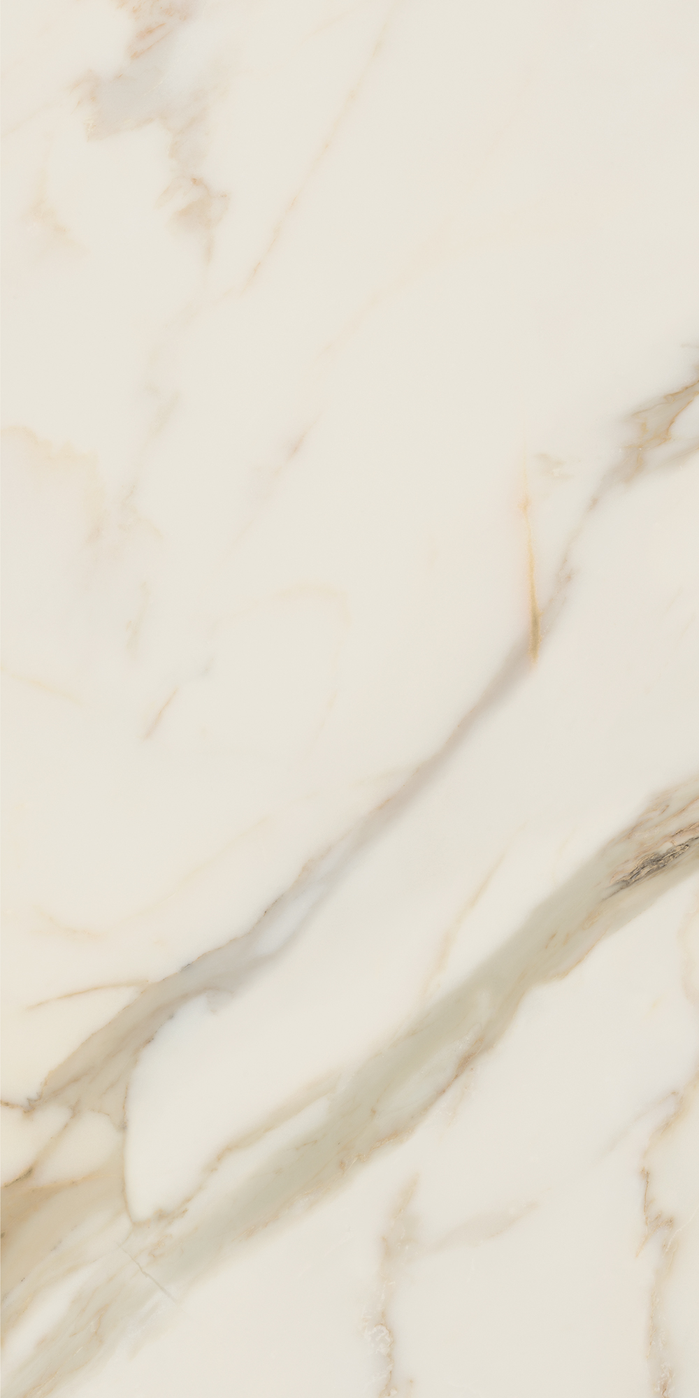 AGB4 На пол Anima Futura Golden White Luc. 120x60 - фото 7