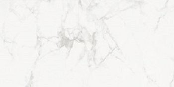 AB 1118G На пол Phantom Bianco Gloss 120x60 - фото 4