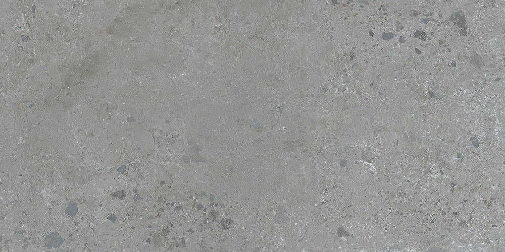 188999 На пол Pietra Viva Grey 60x120 - фото 3