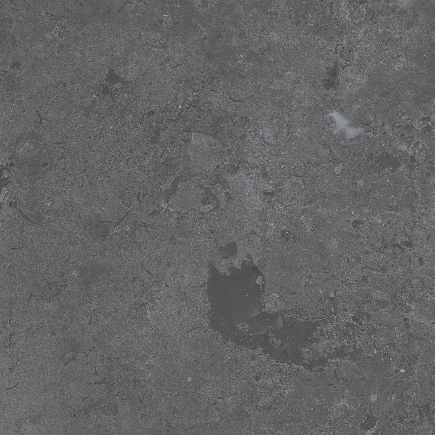 DD640800R На пол Про Лаймстоун Про Лаймстоун Серый Темный Натуральный Обрезной 60х60 - фото 15