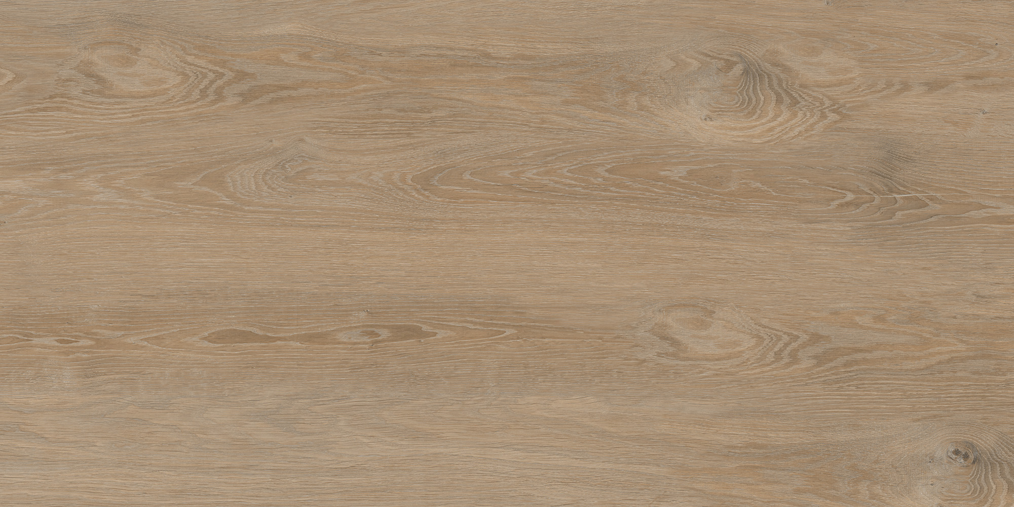 FO0L69M01  Forest Oak 60x120 - фото 4