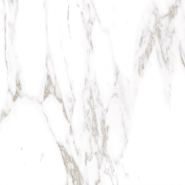 GRS01-19 На пол Ellora Lotus 60x60 - фото 6