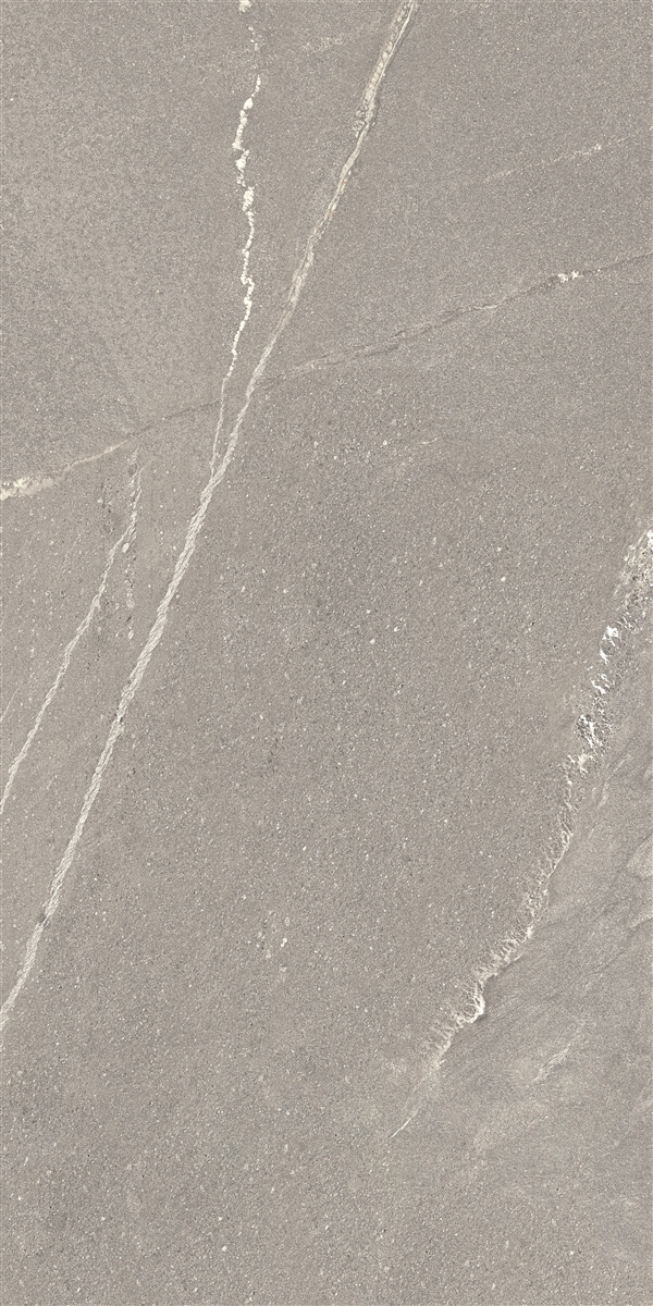 P14507.6 На пол Tiger Matt Grey Rect 60x120 - фото 2