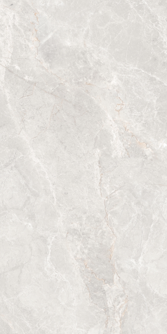 GT1206019606MDGR На пол Anatolia Светло-серый матовый 60x120 - фото 8