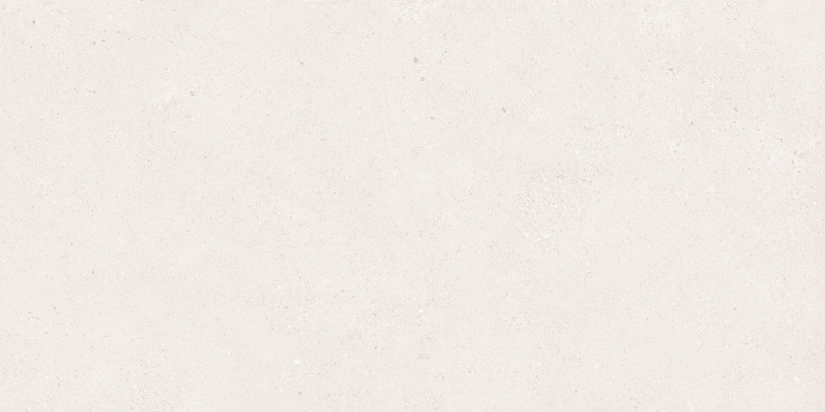 N20642 На пол Stone Bottega Blanco Matt 60x120 - фото 5