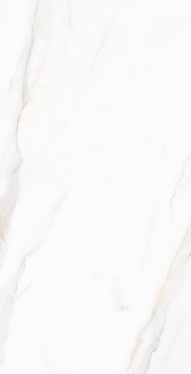 N9608T30 На пол Sharon  Light Polished 60х120 - фото 5