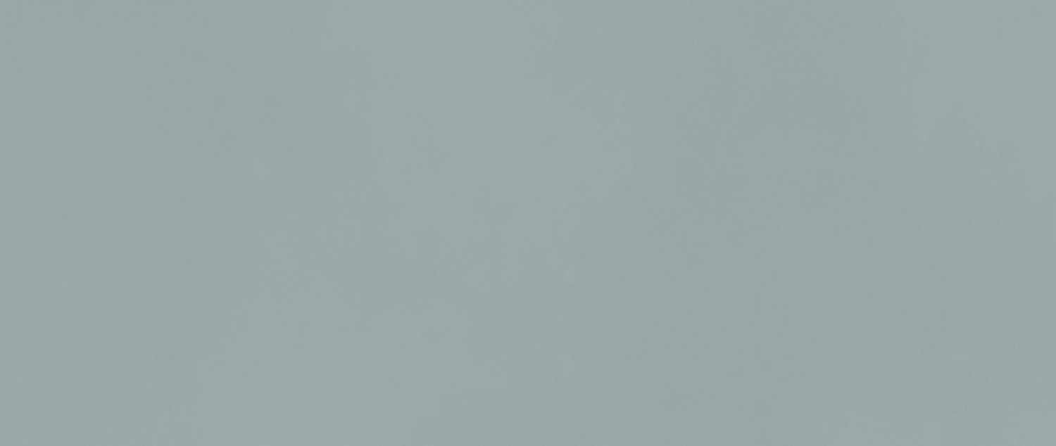 AKM8 На стену Boost Color Iris 50x120 - фото 5