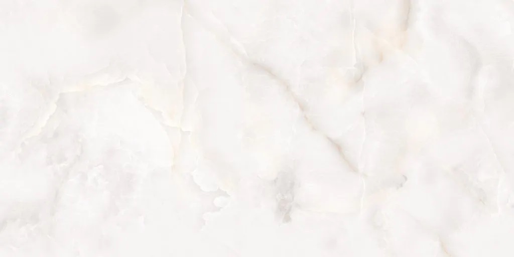 N20577 На пол Onyx Classo Polished 60x120 - фото 3