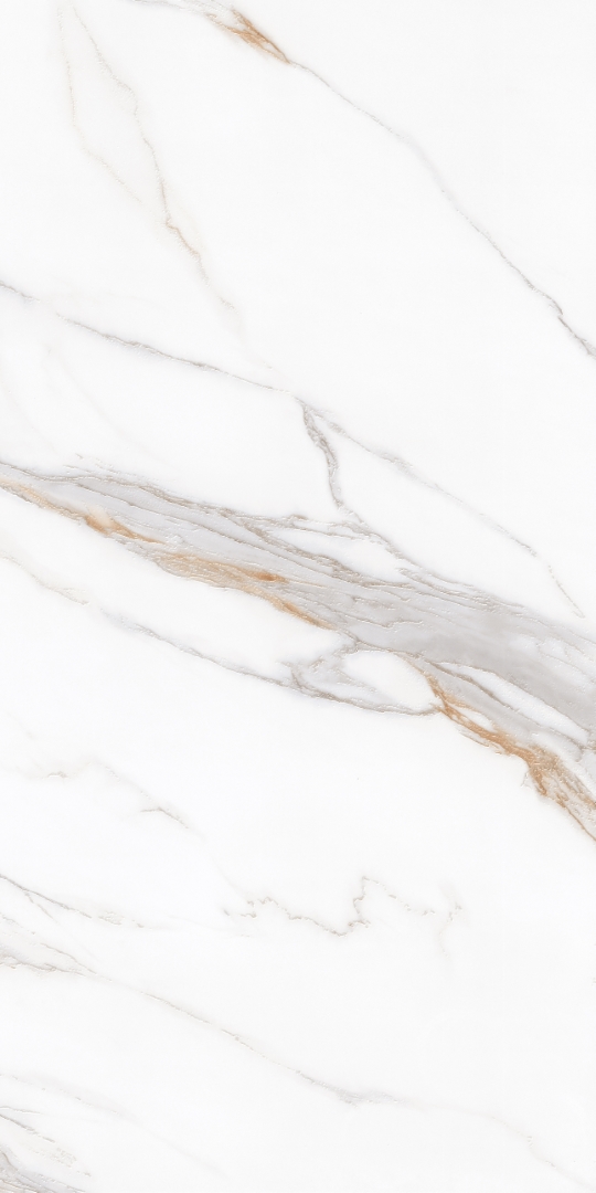 PT12J7058 На пол Bianco Carving 1200х600х9