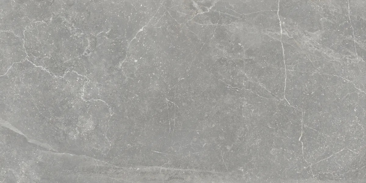 P0003697 На пол Bleuemix Grey 60x120 - фото 3