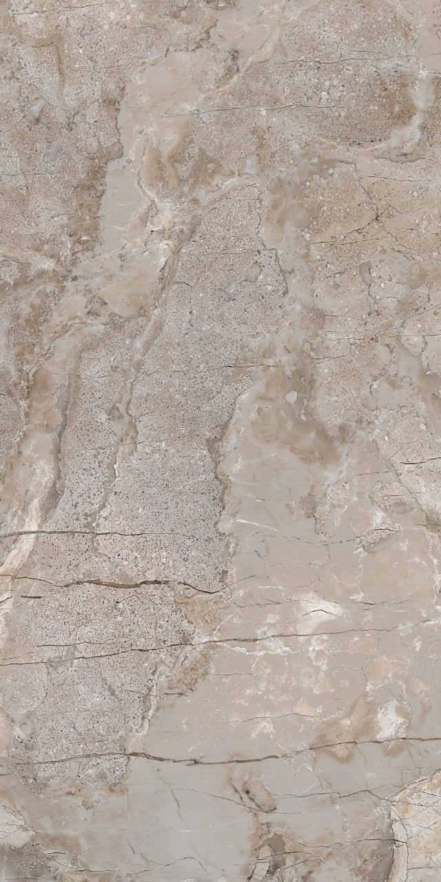 656 На пол Eco Marble 9mm Breccia Primavera 120x60 - фото 6