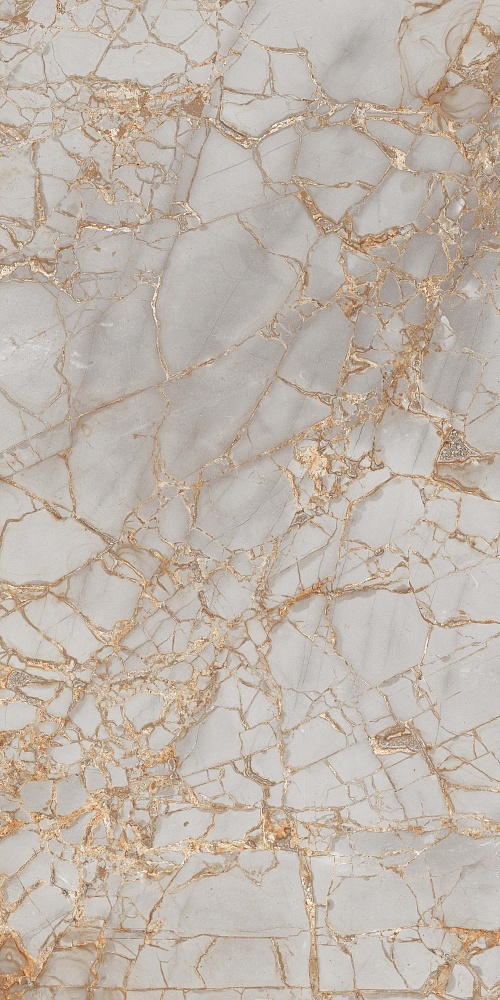 PR212 На пол Golden Grey High glossy 600x1200