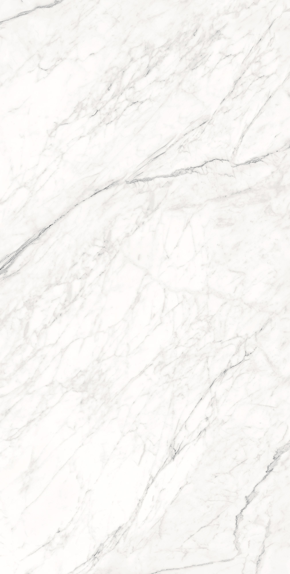 CZ-GL07-B На пол Montesa White Matt Glossy Ink 80x16 - фото 2