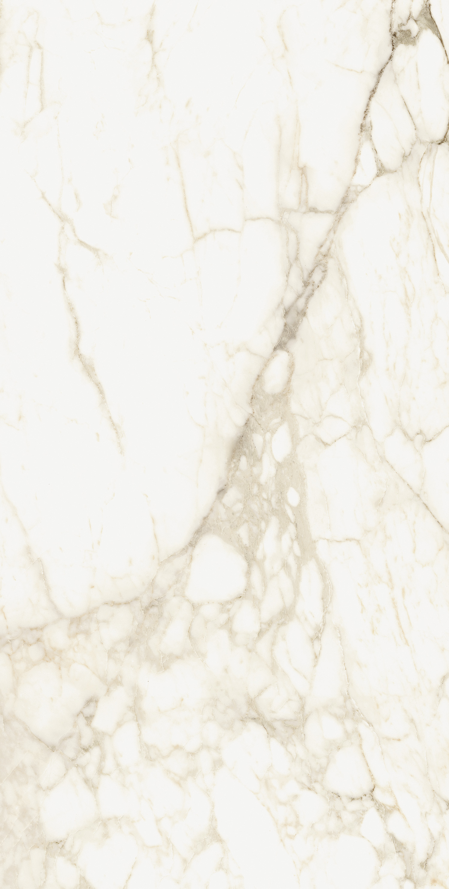 610010002745 На пол Michelangelo Ворм 60x120 - фото 3