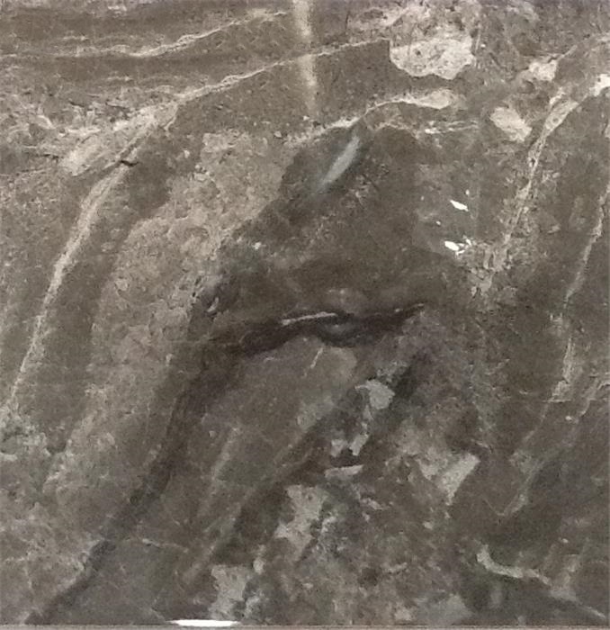 На пол Danae Antracita Floor