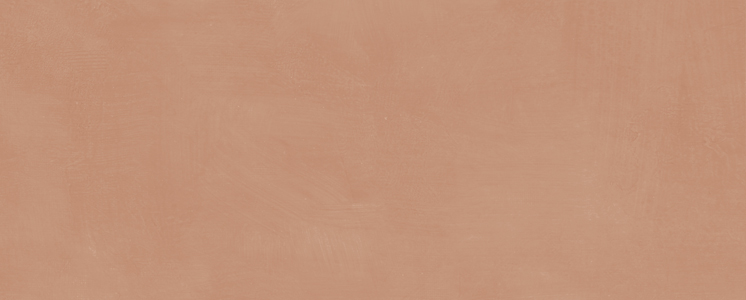 7254 Настенная Каннареджо Оранжевый матовый 20x50x0.8 - фото 9