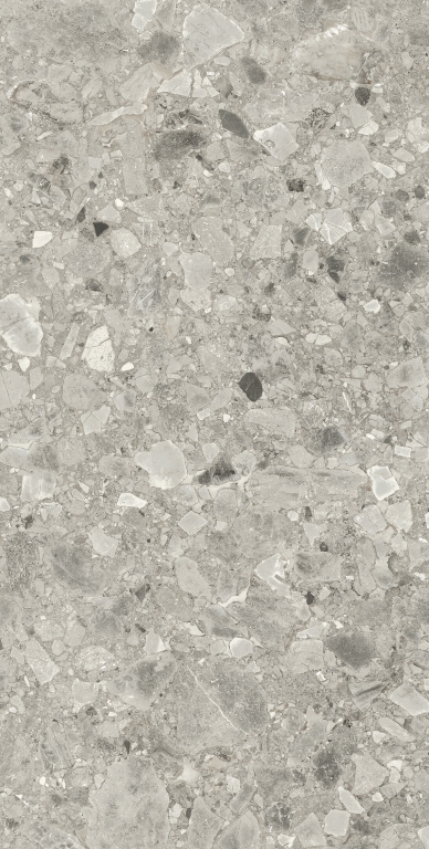 610010002744 На пол Brera Грэй 60x120 - фото 2