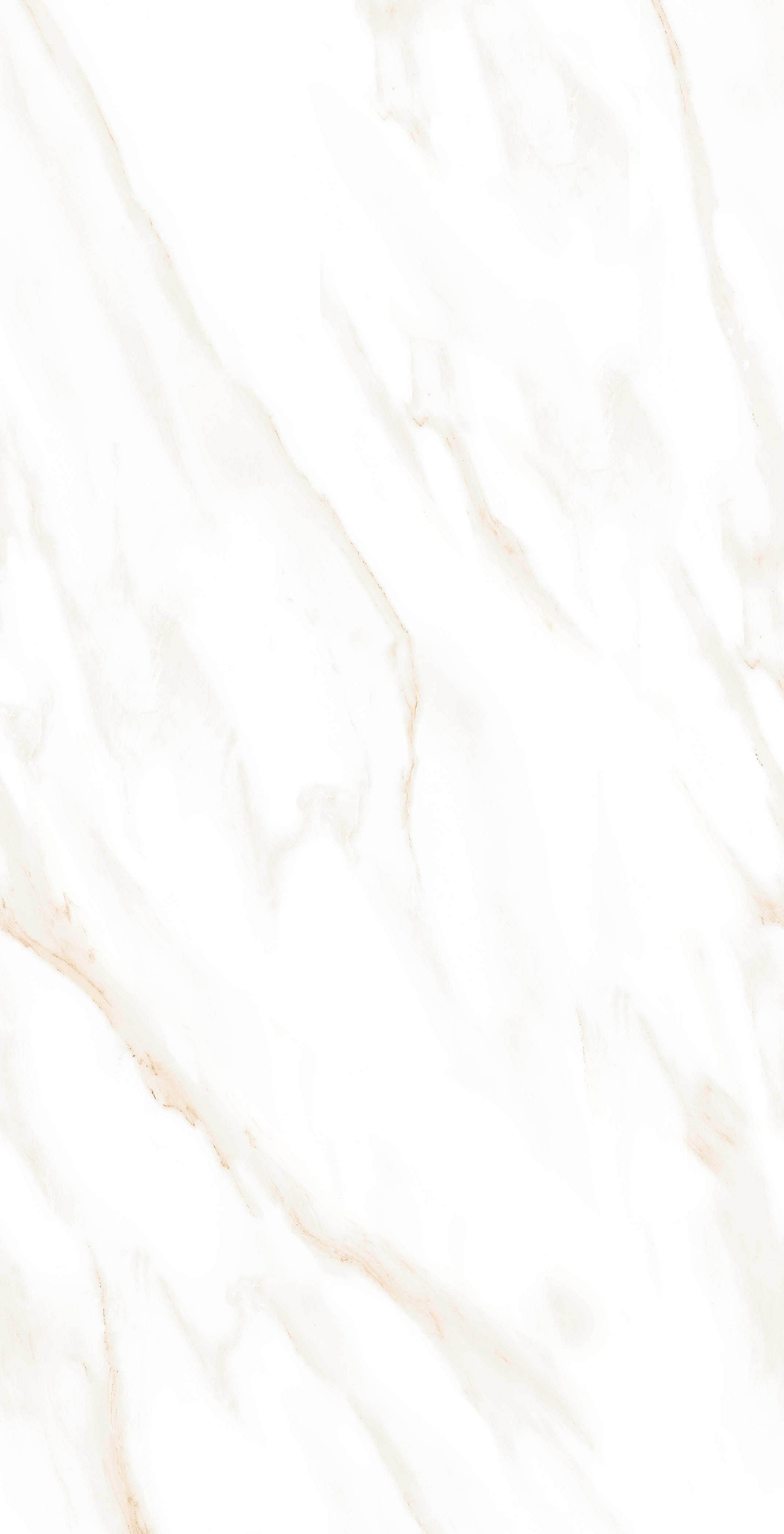 MOG102/PS_NC/60x120x9R/GW На пол Marble MOG102 White 120x60 Полированный Рект. - фото 2