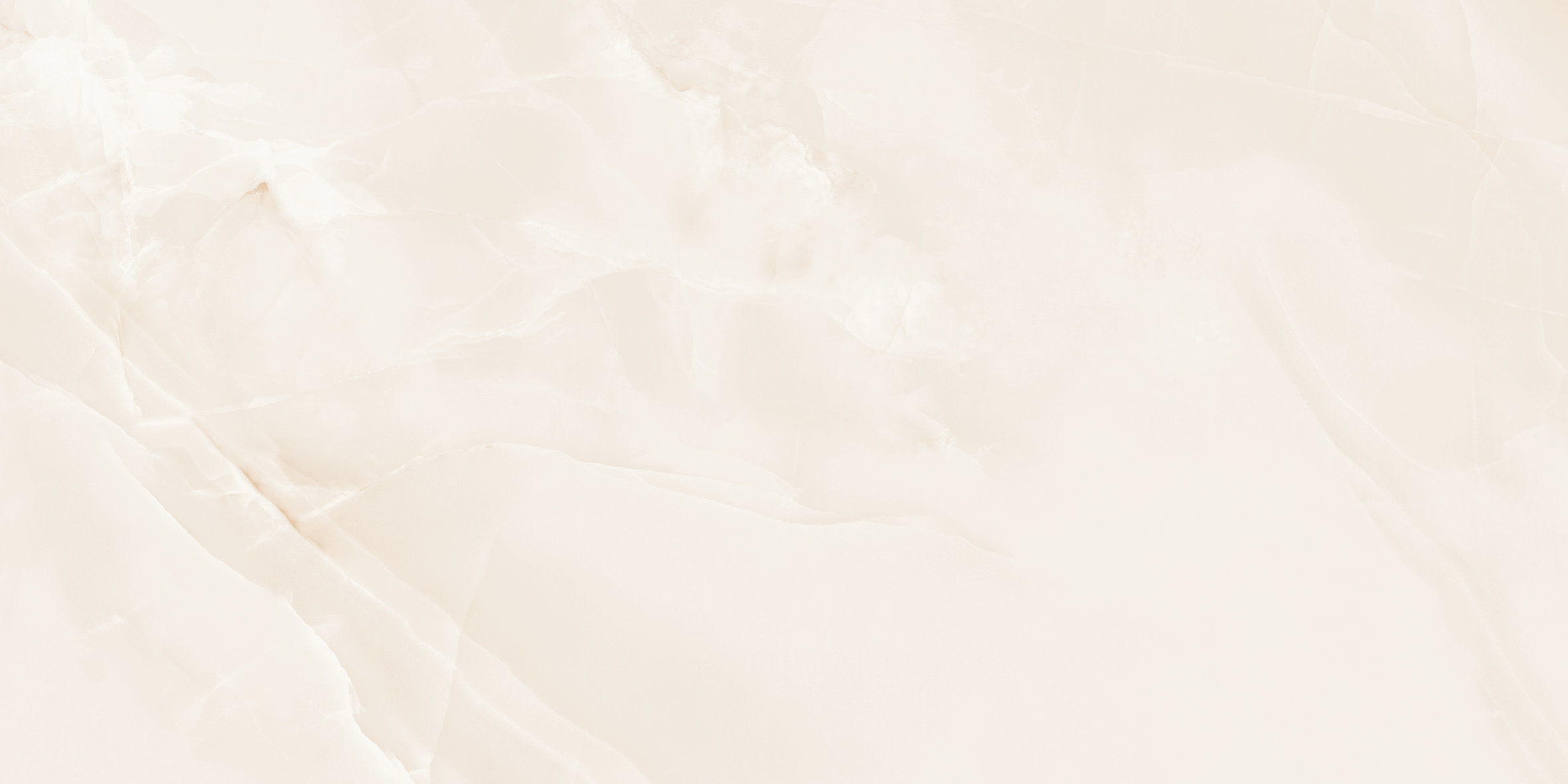 QVL4607M На пол Queen Serenity Onyx Matt 60x120 - фото 9