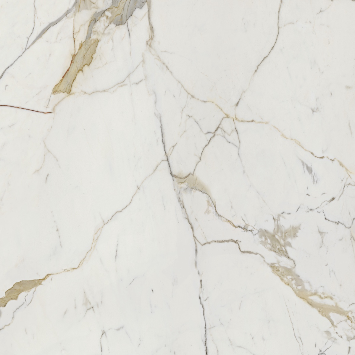 VSM202 На пол Vision Calacatta Oro 120x120 - фото 3