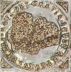 Декоративная вставка Dolomite Olambrilla Fortune Cinder Plata - фото 7