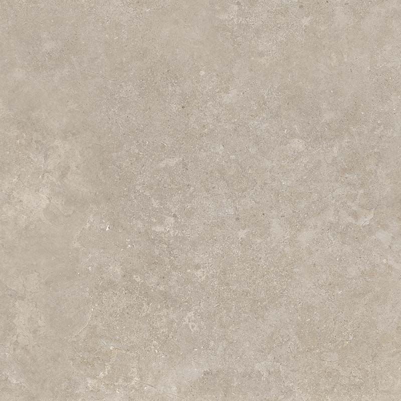 8160 На пол Shell LB 60х60 - фото 8