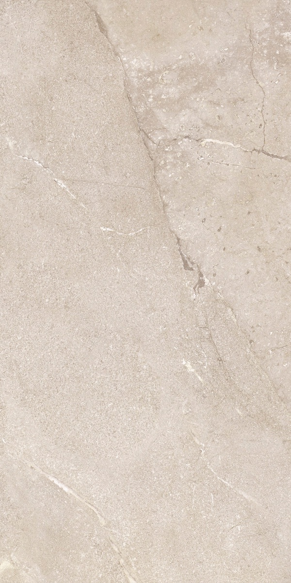 DNWS201 На пол New Stone Daino 60x120 - фото 9