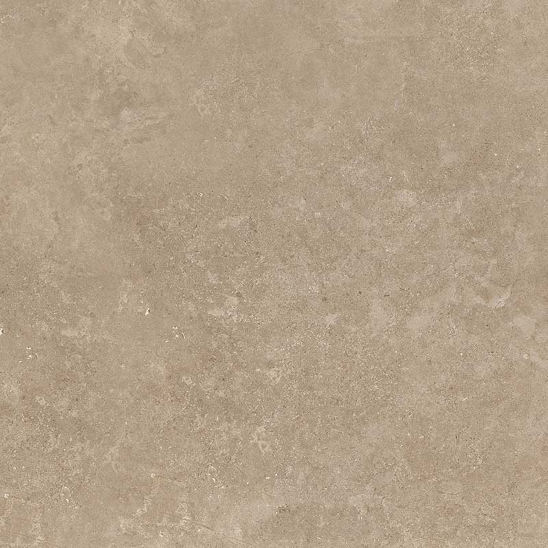 8167 На пол Shell BG 60х60 - фото 4